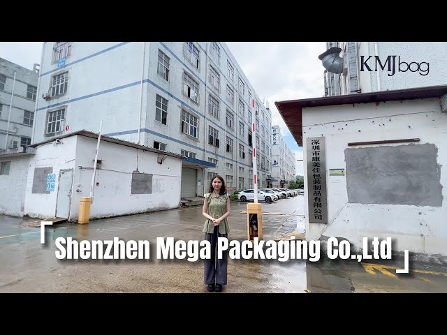 Shenzhen Mega Packaging Co.,Ltd. -  Stand Up Pouches Manufacturer