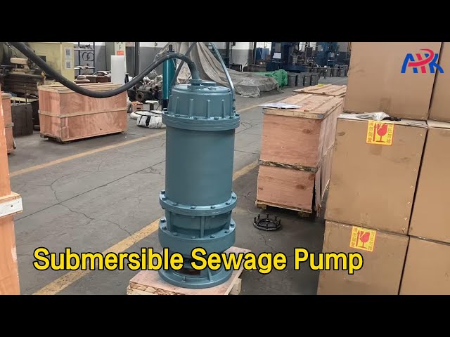 Cast Iron Submersible Sewage Pump 120m3/H 50m Head Stainless Steel