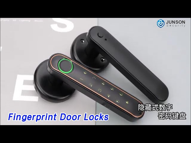 Intelligent Fingerprint Door Locks Multiple Languages Support Bluetooth / App