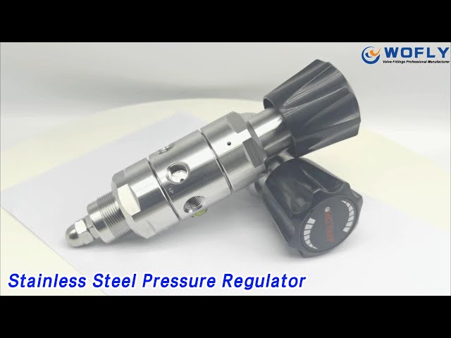 Nitrogen Stainless Steel Pressure Regulator SS316L Dual Stage High Pressure