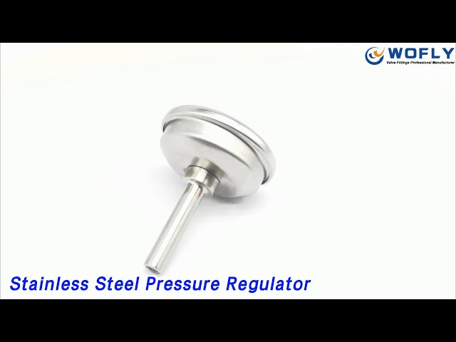 Axial Stainless Steel Pressure Regulator Dial Type Bimetal Corrosion Poof