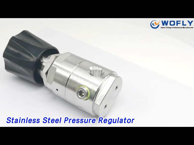 Flow Control Stainless Steel Pressure Regulator High Pressure Single Stage