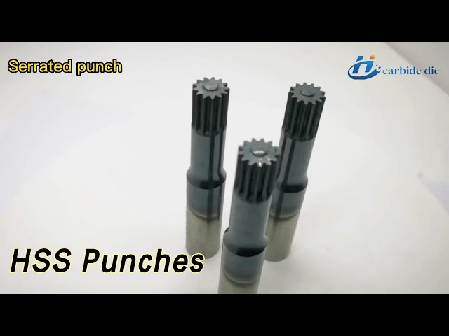 Customized HSS Punches Torx Non Standard 2D Drawing Polishing