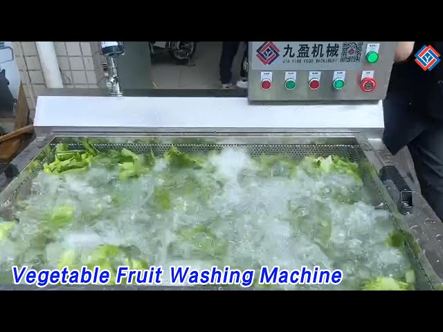 Commercial Vegetable Fruit Washing Machine Single Phase 300kg/h Eddy Current