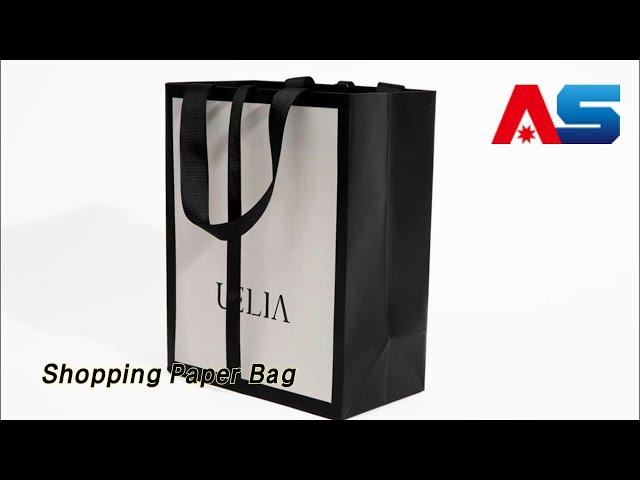 Custom Printed Shopping Paper Bag Art Paper Boutique For Clothes