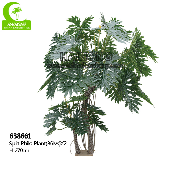 philoの植物を裂きなさい