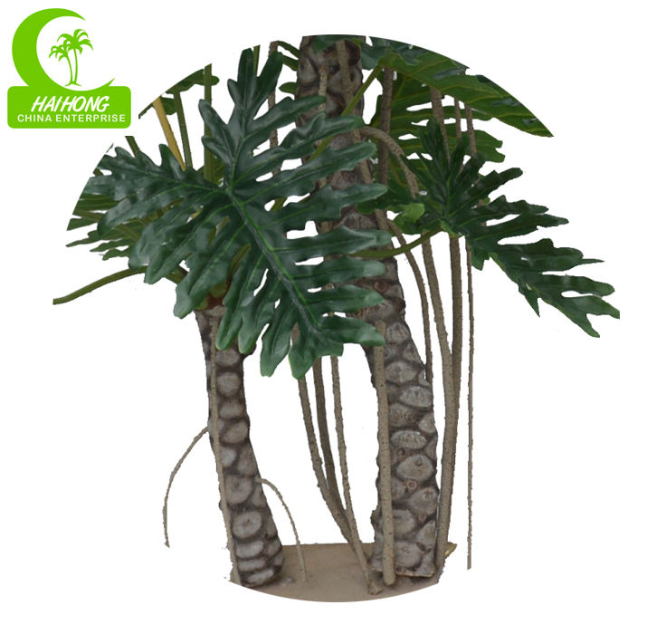 philoの植物を裂きなさい