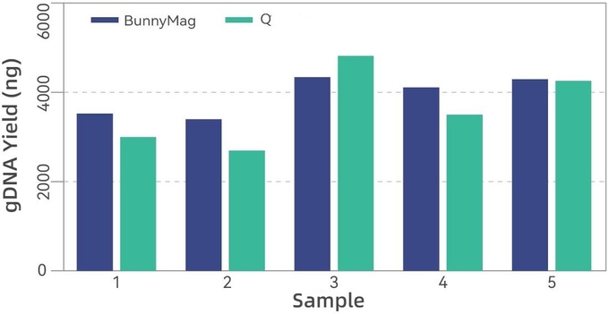 BunnyMag Blood gDNA Isolation Kit 0