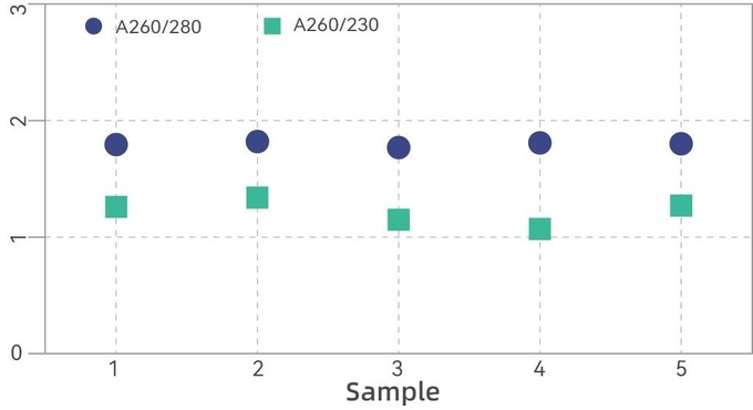 BunnyMag Blood gDNA Isolation Kit 1