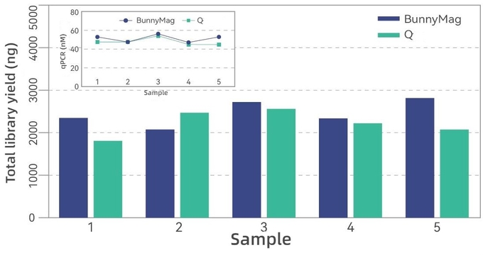 BunnyMag Blood gDNA Isolation Kit 3