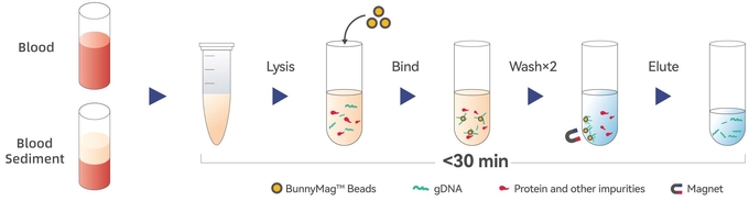 BunnyMag Blood gDNA Isolation Kit 7