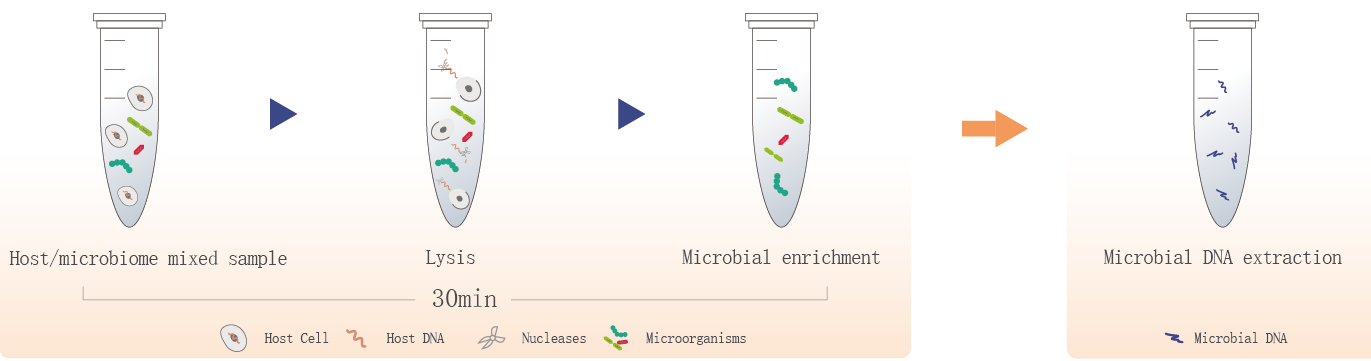 BunnyMag Blood gDNA Isolation Kit 7