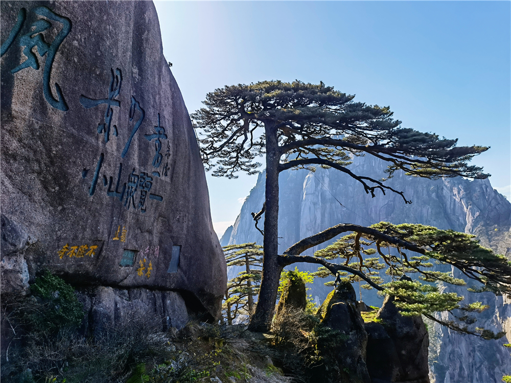 Wonderful travel for beautiful natural scenery of China!!