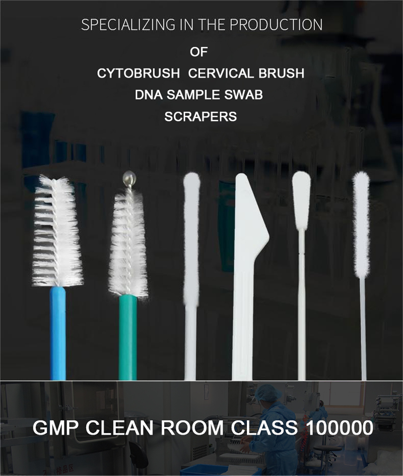 Amostra cervical Brush8101A HPV do CE ISO-FDA da ginecologia de nylon médica descartável do certificado com certificat 0 do ISO FDA do CE