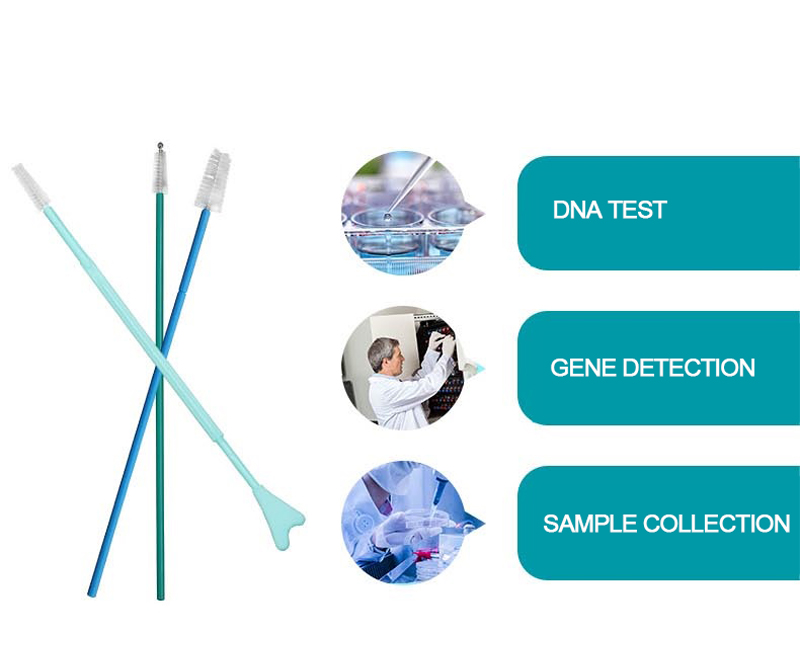 Des CERS ISO-FDA medizinische Nylon-HPV Wegwerfgynäkologie des Zertifikats zervikale Probenahme Brush8101A mit certificat 3 CER-ISO FDA