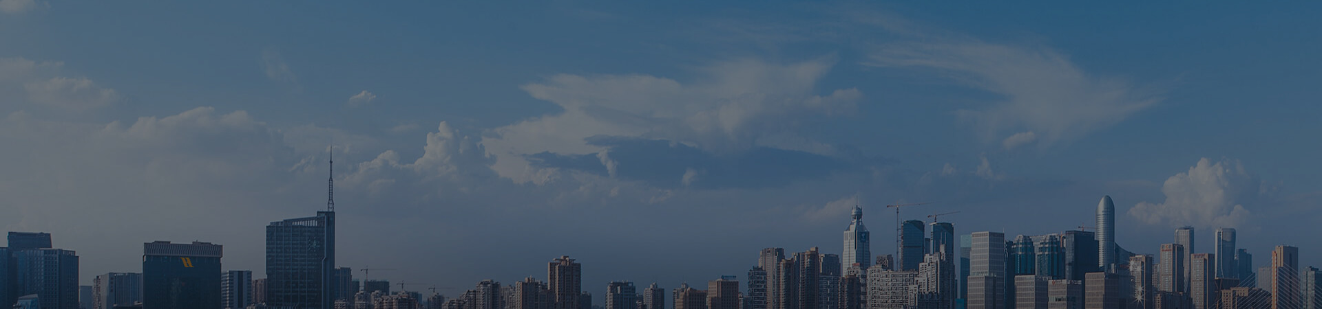 파일 다운로드