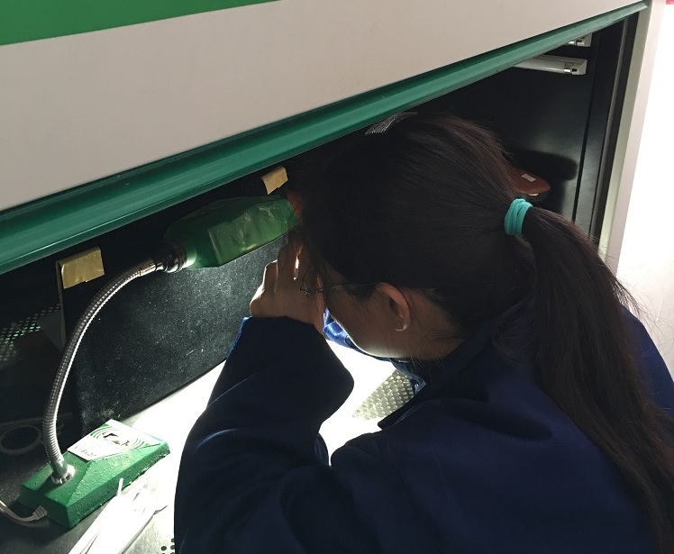 Product testing and validation