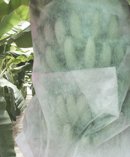 300gsm Agriculture Non Woven Fabric ISO9001 For Gardening 1