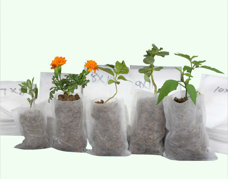 300gsm Agriculture Non Woven Fabric ISO9001 For Gardening 3