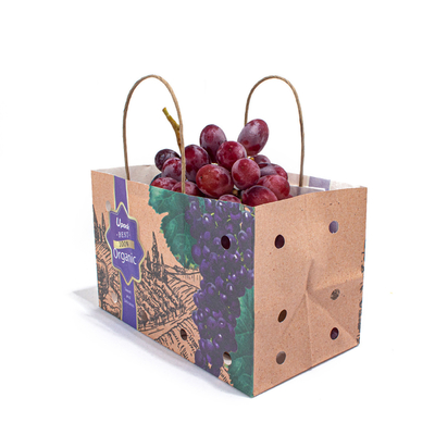 Biodegradable Waterproof Fruit Paper Bags Recyclable Sustainable